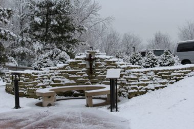 Kelly's Garden in the snow