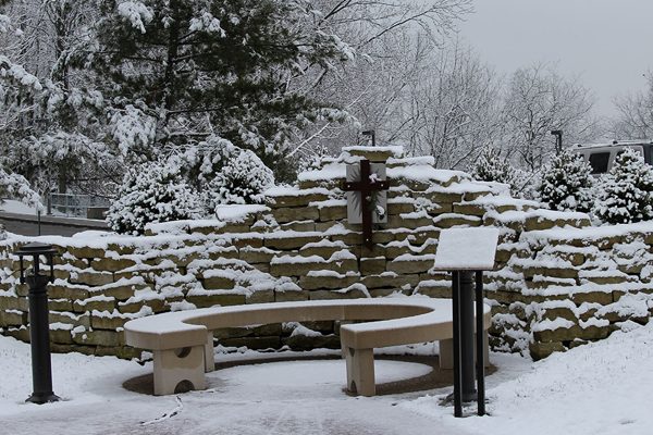 kelly's garden in the snow