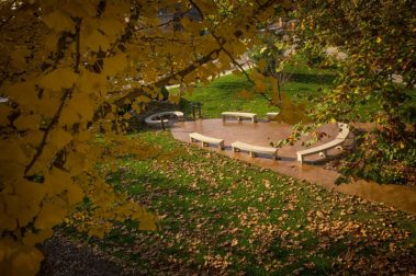 overhead of kelly's garden in the JC Williams front yard
